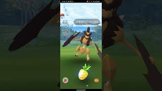 ポケモンGO。バサギリとの戦い。