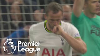 Harry Kane gets Tottenham Hotspur back into game v. Newcastle United | Premier League | NBC Sports