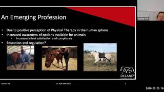 The Functional Assessment:   The Cornerstone of the Equine Rehabilitation Program - May 20, 2020