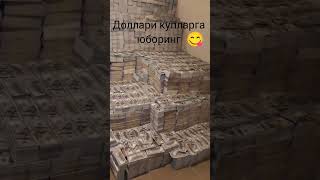 СИЗДА НЕЧТА ПАЧКАСИ БУЛГАНИНИ ХОХЛАРДИНГИЗ.🤣