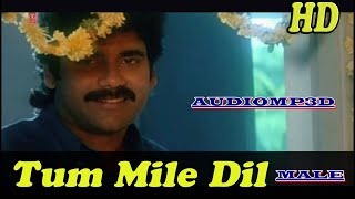3d Songs।।Tu Mile Dil Khile MALE VERSION | Criminal | Alka Yagnik, Kumar Sanu | M. M. Keeravani |