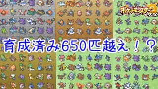 [ポケモンSM]育成完了済みポケモン650匹！？いました…【♪11ポケモン(サン ムーン)シーズン4】Pokemon Sun \u0026 Moon