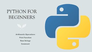 #2 Python for Beginners: Arithmetic Operations, Raw Strings, Print Function and Comments