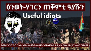 February 13, 2022  #Eritrea#Ethiopia#Tigray#AANMEDIA  ዕንወት-ሃገርን ጠቐምቲ ዓያሹን Useful idiots