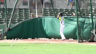 Robbie Scott Hitting FM16 mp4