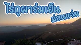 รีวิวที่พัก ไร่ภูผาร่มเย็นปี 2024  บนยอดเขาสูง อากาศดี วิวสวยมาก | Mon Jam Chiang Mai