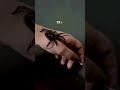 drawing a spider tattoo on hand🕸️🕷️✍🏻✨