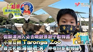 超哥澳洲Free人生活 EP_04a - 假期澳洲人必去嘅靚景親子動物園／小習反轉 Taronga Zoo／最出名嘅海獅表演，仲有好多動物睇