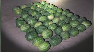 Watermelon heist stopped by Merced County Sheriff's deputies