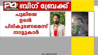 തൃശൂർ പാലപ്പിള്ളിയിൽ വന്യജീവി ആക്രമിച്ച കുറുക്കന്റെ ജഡം കണ്ടെത്തി