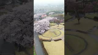 八代ふるさと公園ドローン空撮 #shorts  vol 1