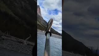 Jasper National Park, Alberta, Canada. Kayaking the Chaba River.