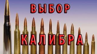 Выбор нарезного калибра. Обзор \