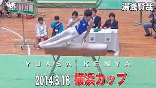 湯浅賢哉の昔。スマートかつ美しい体線で勝負！🇯🇵2014.3横浜カップ🏆あん馬