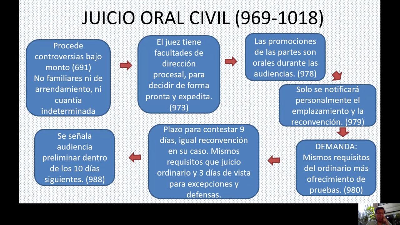 Etapas De Un Juicio Ordinario Civil - Image To U