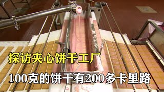 探訪夾心餅乾工廠：一周生產1000噸餅乾，100克就有200多卡裏路