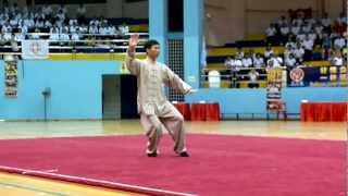 陈炳老师 (Master Chen Bing) 陈式太极拳 Chen Style Taijiquan (Tai Chi Chuan)