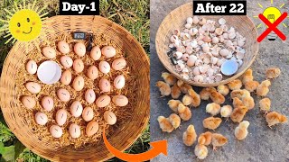 How to make incubator at home without electricity // Sunlight incubator real egg hatching 100%