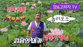 깡\u0026고하자TV    2024년 7월5일 금요일 부여 서동 연꽃축제 입담의 대가 깡통 단장님 실시간방송