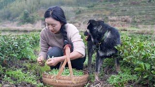 QingMingGuo(A kind of traditional Chinese food)That little bit of imperfection is what we strive for