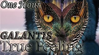 Galantis - True Feeling One Hour Loop