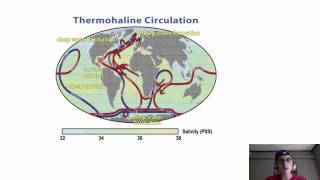 Oceans 2a. Thermohaline circulation