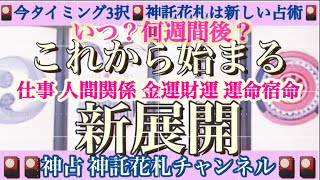 【新展開‼️いつ❓これから始まる⁉️】仕事？人間関係？恋愛？金運 財運？事業運？運命宿命？🎴今タイミング3択🎴神託 花札 は 新しい 占術🎴タロット ルノルマン オラクル 級🎴