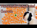 Homemade Dehydrated Carrots: Easy and Healthy Treats for Guinea Pigs!