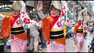 天神天満 阿波おどり パレード 2019