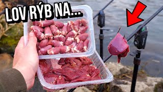 Lov Rýb na Kuraciu Pečeň  - Járta 🐔 a Srdcia 🎣 na rieke Váh !