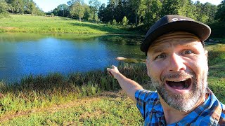 Here's how I Messed up...Farm Pond Basics most don't know!