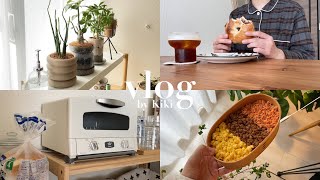 〈vlog〉休日と出勤日の朝食🥯/観葉植物の植替え🪴/あんバターベーグル/購入品/３色丼弁当