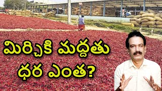 మిర్చికి మద్దతు ధర ఉద్యమిద్దాం రండి Mirchi Support Pirce Chilli Exports Mirchi market Report