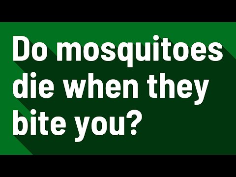 Do male mosquitoes die after they bite you?