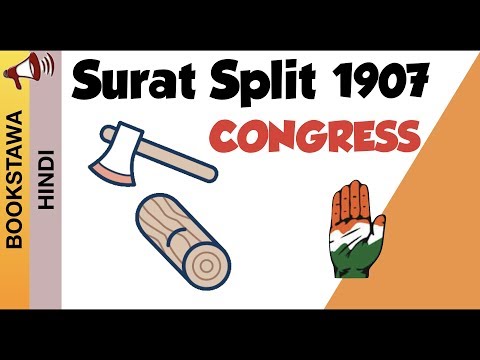 Why did the Congress split in 1907?