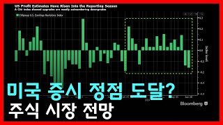 미국 증시 정점에 도달했을까? 2024년 미 대선과 주식 시장의 미래는?