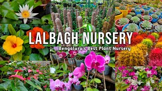 Lalbagh Plant Nursery Tour | Best Plant Nursery in Bengaluru |