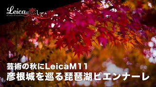 LeicaM11を片手にアートフェア・琵琶湖ビエンナーレと紅葉の彦根城を楽しんできました。