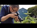 Shooting Macro with Kenko Extension Tubes