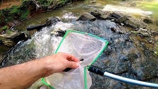 Recorrriendo ASOMBROSOS LUGARES, exploración y recolección de plantas y peces , ACUARIO URBANO