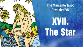 XVII. Le Toille || Tự học Tarot de Marseille - EP 32