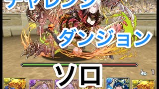 【パズドラ】チャレンジダンジョンLv10 安定と信頼のラードラPT　ソロ