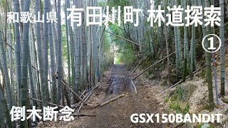 和歌山県 有田川町 林道探索① 倒木断念　GXS150バンディット 2024年11月