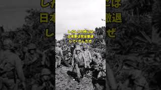 日本軍用犬2匹対米軍3 .5万人で日本の勝利！？「コテージ作戦」とは？ #shots #ゆっくり解説 #史実