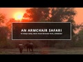 An Armchair Safari at Kanga Camp, Mana Pools National Park, Zimbawbe