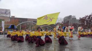 「 志舞 」四日市よさこい祭り2016【市民公園会場】