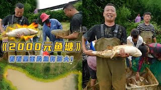 花2000元包下的鱼塘，没想到里面的鱼这么大？｜花3000元包下大山塘，看看里面的鱼有多大？｜花2600元包下的鱼塘，没想到里面的鱼这么大？｜小飞哥帮小姐姐包鱼塘一起抓鱼，没想到小姐姐抓鱼这么厉害？