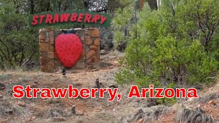 Strawberry, Arizona