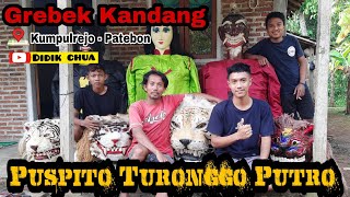 grebek kandang barongan puspito turonggo putro, kumpulrejo,patebon