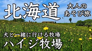 【大人のあそび旅】犬と一緒に行ける 北海道・ハイジ牧場